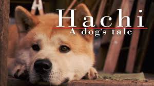 hachi a dogs tale a
