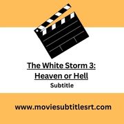 The White Storm 3: Heaven or Hell